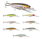 Rapala Down Deep Husky Jerk Lures Size: DHJ10 (4, 3/8 oz.); Color: Glass Minnow (GMN)