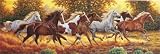 Clementoni 31300.6 - Puzzle Panorama Cavalli in corsa 1000 teilig