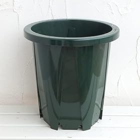 �X���b�g���P���K�C�^�C�v ���a31.5cm�i��9�����j�@2�Z�b�g