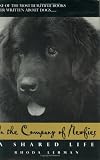 In the Company of Newfies: A Shared Life