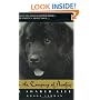 In the Company of Newfies: A Shared Life