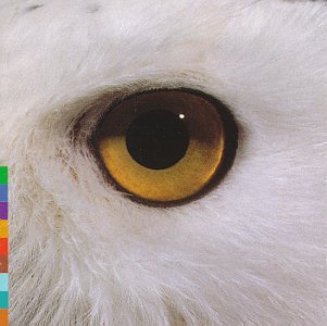 104 - mari boine - gula gula-tlt Lyrics - Zortam Music