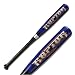 Rawlings Raptor -12 T Ball Bat (TBRAP)