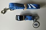Tennessee Titans Dog Pet Set Leash Collar ID Tag XS