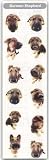 THE DOG Artlist - Mini German Shepherd Stickers