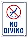 No Diving, Swimming Pool Rules Sign - 10
