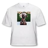 Weimaraner - Toddler T-Shirt (4T)