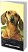dachshund5 - Dachshunds 2010 Pocket Planner
