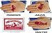 Fortune Teller Fish Palm Reader