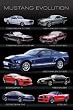 (24x36) Ford Mustang Evolution Car Photo Poster Print