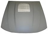 03-04 FORD MUSTANG HOOD, Mach 1 Model (2003 03 2004 04) F130115 3R3Z16612BA
