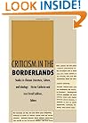 Criticism in the Borderlands: Studies in Chicano Literature, Culture, and Ideology (Post-Contemporary Interventions)