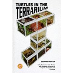 Turtles in the Terrarium