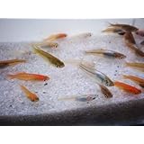 ���i�̏ڍ�