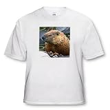 Wild animals - Groundhog - T-Shirts