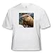 Wild animals - Groundhog - T-Shirts
