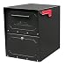 Architectural Mailboxes Oasis Jr. Mailbox, Black