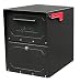 Architectural Mailboxes Oasis Jr. Mailbox, Black