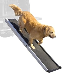 Mr. Herzher's Smart Ramp Mr. Herzher's Smart Ramp