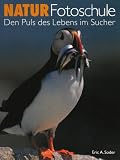 Produkt-Bild: Die Neue Makro-Fotoschule / Natur-Fotoschule
