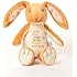 Kids Preferred Guess How Much I Love You: Nutbrown Hare Bean Bag Plush