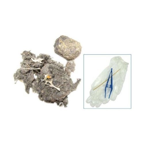 Pkg (2) Owl Pellet Kit with Tweezers, Pointing Stick and 8-Page Booklet