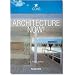 Architecture Now!: 100 Contemporary Architects (Icons Series)