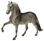 PERUVIAN PASO 6