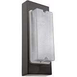 RAB VAN6F13 Fluorescent Vandalproof Wall & Ceiling Fixture 13 Watts