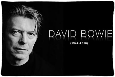 David Bowie Musician Singer Legend Print Sofa Home Decor Design Throw Pillow Case Cushion Covers Square 20x30 inch