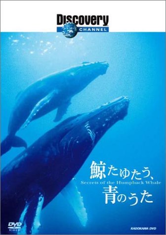 �ǥ������Х꡼�����ͥ� �ߤ��椿�����ĤΤ��� [DVD]