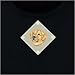 Golden Retriever Pawprint Pajamas with Embroidered Patch - Small/Medium
