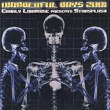 Wonderful Days 2001