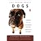 be an animal communicator