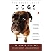 All about Dogs