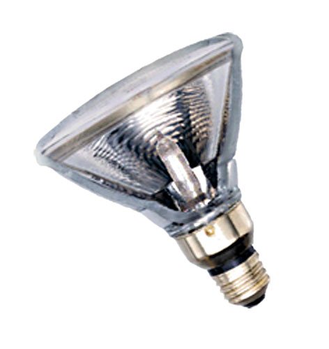 GE 10473 - 100PAR/HIR/FL40 PAR38 Halogen Light Bulb
