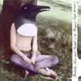 Preludes, Airs and Yodels: a Penguin Cafe Primer