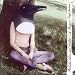 Click here to Compare Prices of Preludes, Airs and Yodels: a Penguin Cafe Primer