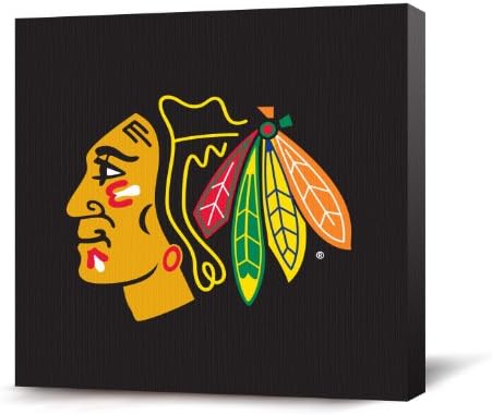NHL Chicago Blackhawks Canvas Replica Primary Logo, Dark