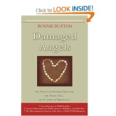 Damaged Angels: An Adoptive Mother�s Struggle to Understand the Tragic Toll of Alcohol in Pregnancy