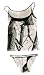 Realtree Women's Layered Cami with String Bikini