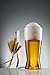 Spiegelau Beer Classics Lager Glass Packed in a Gift Tube, Set of 2