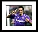 Luca Toni Fiorentina Framed 8x10 Photograph Goal Celebration