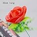 Stage Property Performance Show Magic Trick Fire To Red Rose Flower Lover's Gift