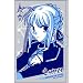 Ｆａｔｅ ｓｔａｙ ｎｉｇｈｔ　セイバー名刺ｹｰｽ