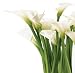 80 Wholesale Premium White Calla Lilies $2.49 Each. FREE SHIPPING