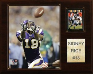 Minnesota Vikings Sidney Rice 12