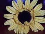 Yellow sunflower bar flower