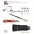 Adobe Photoshop CS2 One-On-One