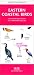Book Eastern Coastal Birds (Pocket Naturalist - Waterford Press)